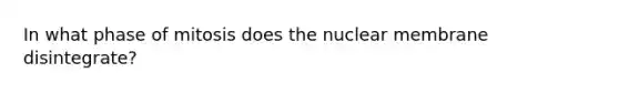 In what phase of mitosis does the nuclear membrane disintegrate?