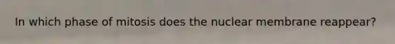 In which phase of mitosis does the nuclear membrane reappear?