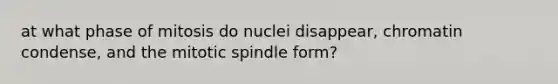 at what phase of mitosis do nuclei disappear, chromatin condense, and the mitotic spindle form?