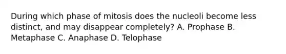 During which phase of mitosis does the nucleoli become less distinct, and may disappear completely? A. Prophase B. Metaphase C. Anaphase D. Telophase