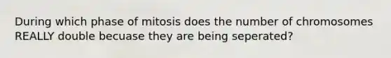 During which phase of mitosis does the number of chromosomes REALLY double becuase they are being seperated?