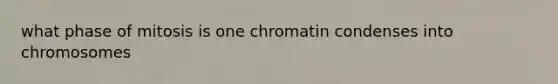 what phase of mitosis is one chromatin condenses into chromosomes