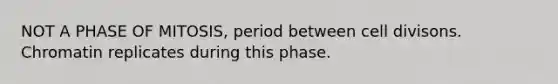 NOT A PHASE OF MITOSIS, period between cell divisons. Chromatin replicates during this phase.