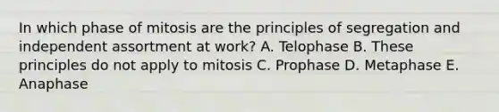 In which phase of mitosis are the principles of segregation and independent assortment at work? A. Telophase B. These principles do not apply to mitosis C. Prophase D. Metaphase E. Anaphase