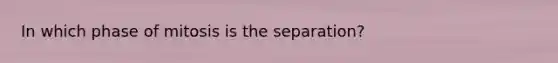 In which phase of mitosis is the separation?