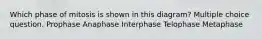 Which phase of mitosis is shown in this diagram? Multiple choice question. Prophase Anaphase Interphase Telophase Metaphase
