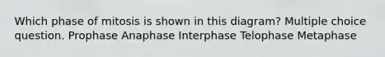 Which phase of mitosis is shown in this diagram? Multiple choice question. Prophase Anaphase Interphase Telophase Metaphase