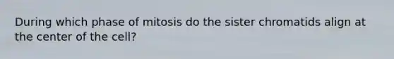 During which phase of mitosis do the sister chromatids align at the center of the cell?