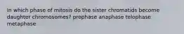 In which phase of mitosis do the sister chromatids become daughter chromosomes? prophase anaphase telophase metaphase