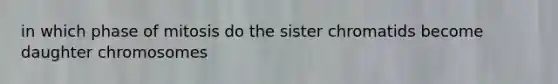 in which phase of mitosis do the sister chromatids become daughter chromosomes