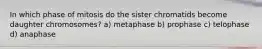 In which phase of mitosis do the sister chromatids become daughter chromosomes? a) metaphase b) prophase c) telophase d) anaphase