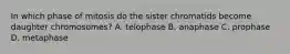 In which phase of mitosis do the sister chromatids become daughter chromosomes? A. telophase B. anaphase C. prophase D. metaphase