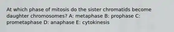 At which phase of mitosis do the sister chromatids become daughter chromosomes? A: metaphase B: prophase C: prometaphase D: anaphase E: cytokinesis