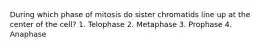 During which phase of mitosis do sister chromatids line up at the center of the cell? 1. Telophase 2. Metaphase 3. Prophase 4. Anaphase