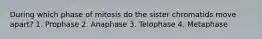 During which phase of mitosis do the sister chromatids move apart? 1. Prophase 2. Anaphase 3. Telophase 4. Metaphase