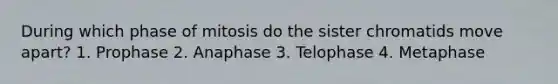 During which phase of mitosis do the sister chromatids move apart? 1. Prophase 2. Anaphase 3. Telophase 4. Metaphase