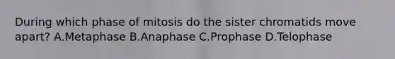 During which phase of mitosis do the sister chromatids move apart? A.Metaphase B.Anaphase C.Prophase D.Telophase