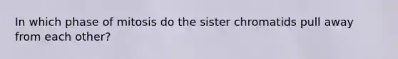 In which phase of mitosis do the sister chromatids pull away from each other?