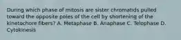 During which phase of mitosis are sister chromatids pulled toward the opposite poles of the cell by shortening of the kinetochore fibers? A. Metaphase B. Anaphase C. Telophase D. Cytokinesis