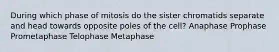 During which phase of mitosis do the sister chromatids separate and head towards opposite poles of the cell? Anaphase Prophase Prometaphase Telophase Metaphase