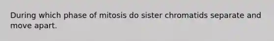 During which phase of mitosis do sister chromatids separate and move apart.