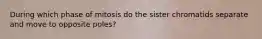 During which phase of mitosis do the sister chromatids separate and move to opposite poles?