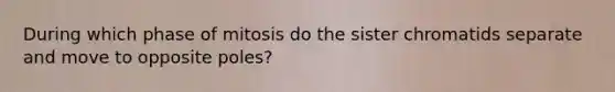 During which phase of mitosis do the sister chromatids separate and move to opposite poles?