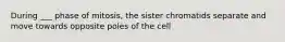 During ___ phase of mitosis, the sister chromatids separate and move towards opposite poles of the cell