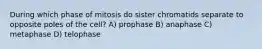 During which phase of mitosis do sister chromatids separate to opposite poles of the cell? A) prophase B) anaphase C) metaphase D) telophase