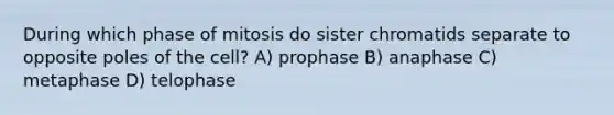 During which phase of mitosis do sister chromatids separate to opposite poles of the cell? A) prophase B) anaphase C) metaphase D) telophase