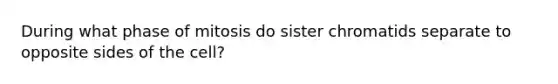 During what phase of mitosis do sister chromatids separate to opposite sides of the cell?