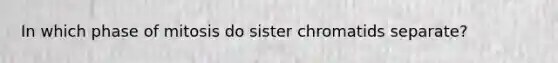 In which phase of mitosis do sister chromatids separate?