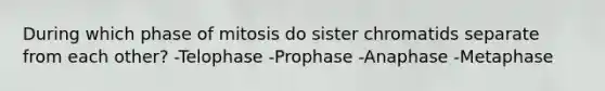 During which phase of mitosis do sister chromatids separate from each other? -Telophase -Prophase -Anaphase -Metaphase