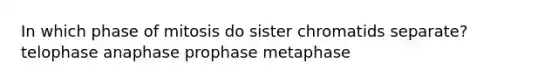 In which phase of mitosis do sister chromatids separate? telophase anaphase prophase metaphase