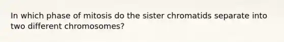 In which phase of mitosis do the sister chromatids separate into two different chromosomes?