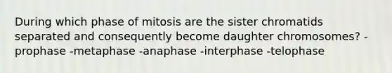 During which phase of mitosis are the sister chromatids separated and consequently become daughter chromosomes? -prophase -metaphase -anaphase -interphase -telophase