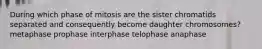 During which phase of mitosis are the sister chromatids separated and consequently become daughter chromosomes? metaphase prophase interphase telophase anaphase