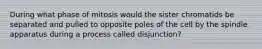 During what phase of mitosis would the sister chromatids be separated and pulled to opposite poles of the cell by the spindle apparatus during a process called disjunction?