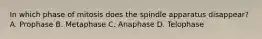 In which phase of mitosis does the spindle apparatus disappear? A. Prophase B. Metaphase C. Anaphase D. Telophase