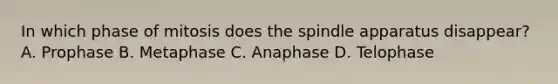 In which phase of mitosis does the spindle apparatus disappear? A. Prophase B. Metaphase C. Anaphase D. Telophase