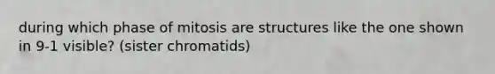 during which phase of mitosis are structures like the one shown in 9-1 visible? (sister chromatids)