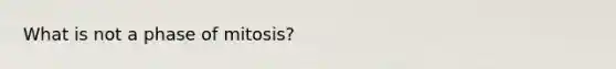 What is not a phase of mitosis?