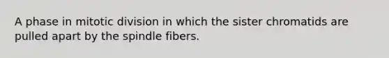 A phase in mitotic division in which the sister chromatids are pulled apart by the spindle fibers.