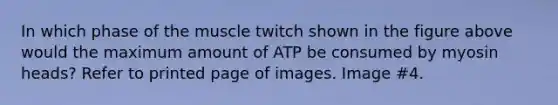 In which phase of the muscle twitch shown in the figure above would the maximum amount of ATP be consumed by myosin heads? Refer to printed page of images. Image #4.