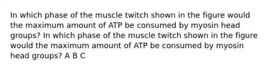 In which phase of the muscle twitch shown in the figure would the maximum amount of ATP be consumed by myosin head groups? In which phase of the muscle twitch shown in the figure would the maximum amount of ATP be consumed by myosin head groups? A B C