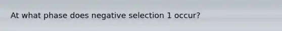 At what phase does negative selection 1 occur?