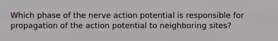 Which phase of the nerve action potential is responsible for propagation of the action potential to neighboring sites?