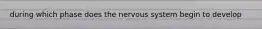 during which phase does the nervous system begin to develop