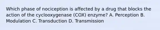 Which phase of nociception is affected by a drug that blocks the action of the cyclooxygenase (COX) enzyme? A. Perception B. Modulation C. Transduction D. Transmission