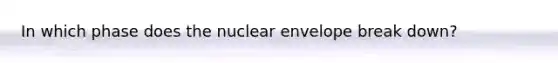 In which phase does the nuclear envelope break down?